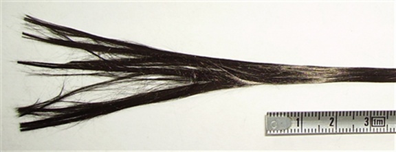 Carbon fiber tow