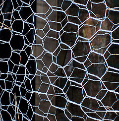 Carbon bonds in carbon fiber