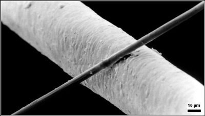 carbon fiber vs. human hair